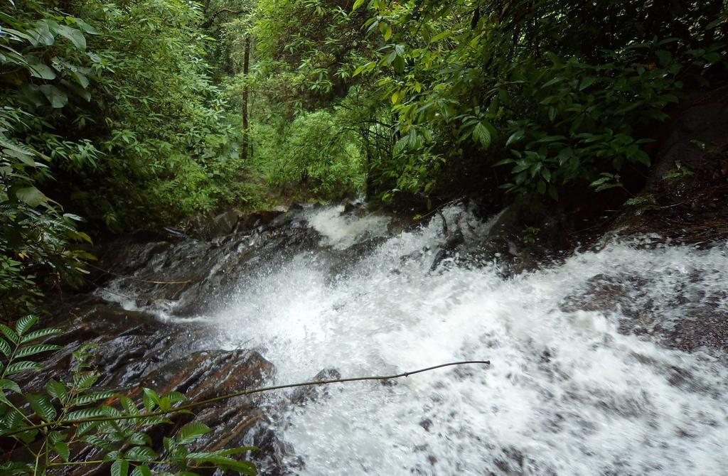 Marg Stream Valley 维特利 外观 照片