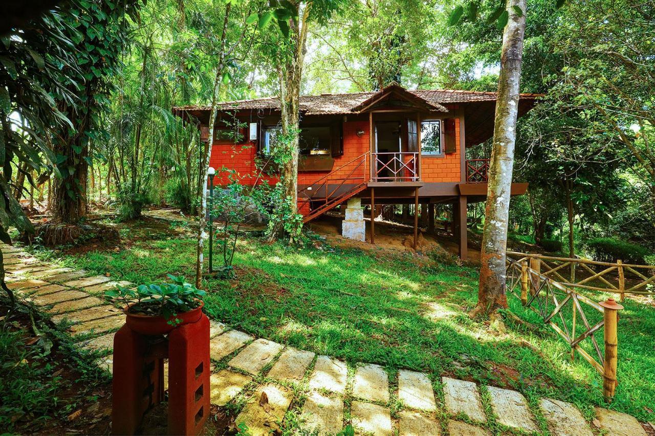 Marg Stream Valley 维特利 外观 照片